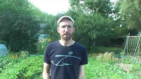 Introducing the Collectives App - Azul