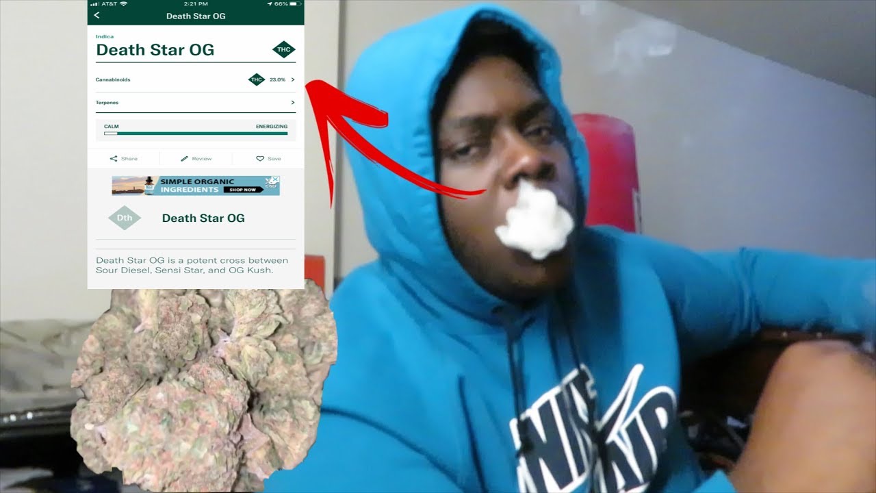 DEATH STAR OG | Strain Review