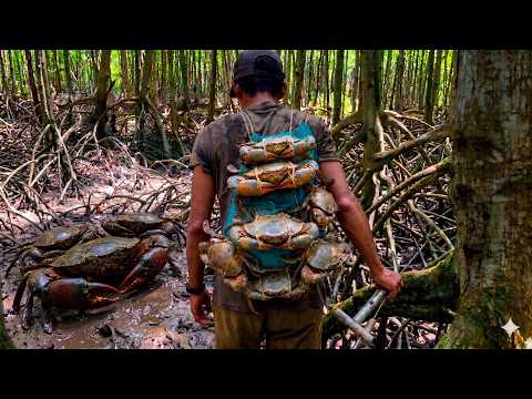 Theo Người Giữ Rừng Săn Cua Khủng Vác Không Nổi