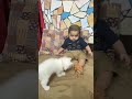 Cute baby funny video #cutebaby #youtubevideo #cute #viral #reels #cutebabyfunnybaby
