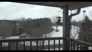 Livestream ahead of Arctic blast forecast to hit the region - Eagan, Minnesota | February 18, 2022