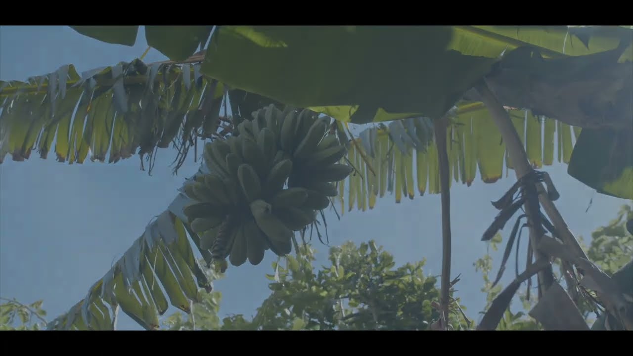 "Kumpang Economy" by Simon Seisho Tajiri