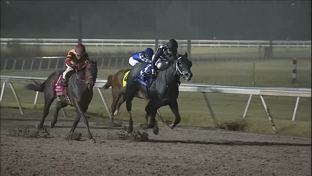 Coal Battle Wins Springboard Mile at Remington Park!