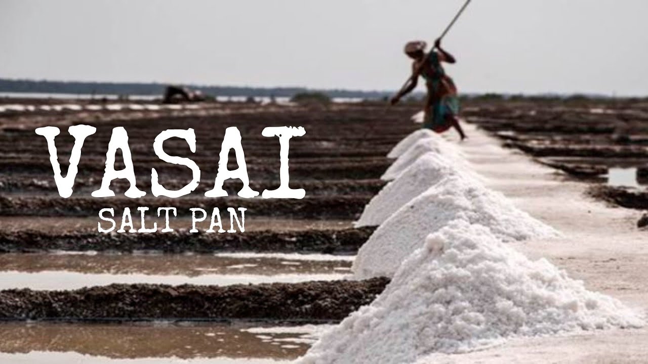 VASAI SALT PANS