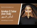 Bahira Bellydancer Amr Diab Amaken El Sahar أماكن السهر
