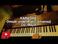 Omule unde te duci (manea) - KARAOKE (Do' Maj)