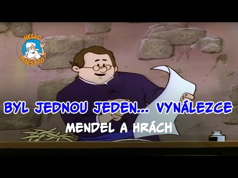 Video: Čo je hrach Maestro: Pestovanie hrachu Maestro v záhrade