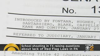 School shooting in Texas raises questions about lack of red flag laws in Pennsylvania