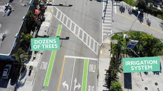 Wilton Manors Annual Report 2020