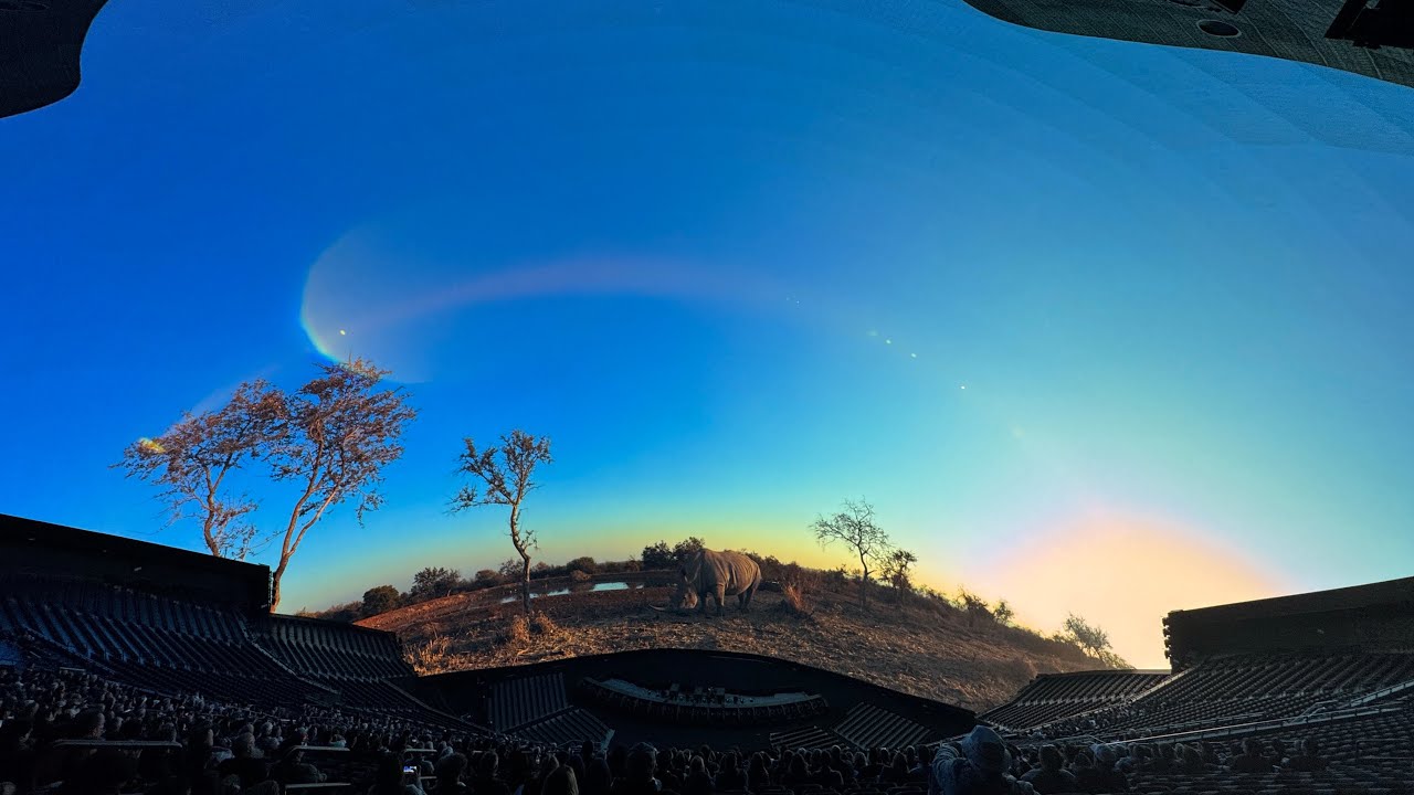 Cinematic Las Vegas and sepere/ iPhone 15 pro max 