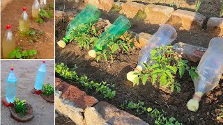 Plastic Bottle Drip Water Irrigation System Very Simple and Easy | DIY Home Drip Irrigation System
