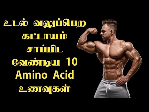 அமினோ அமிலம் அதிகமுள்ள 10 முக்கியமான உணவுகள் || Top 10 Amino acid foods in tamil