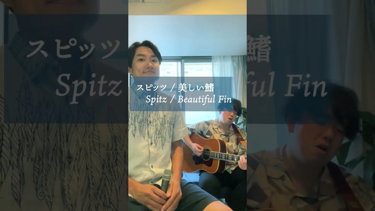 美しい鰭/スピッツ