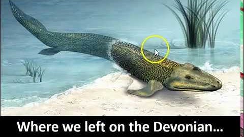 Lecture 4: Rise of Monsters I