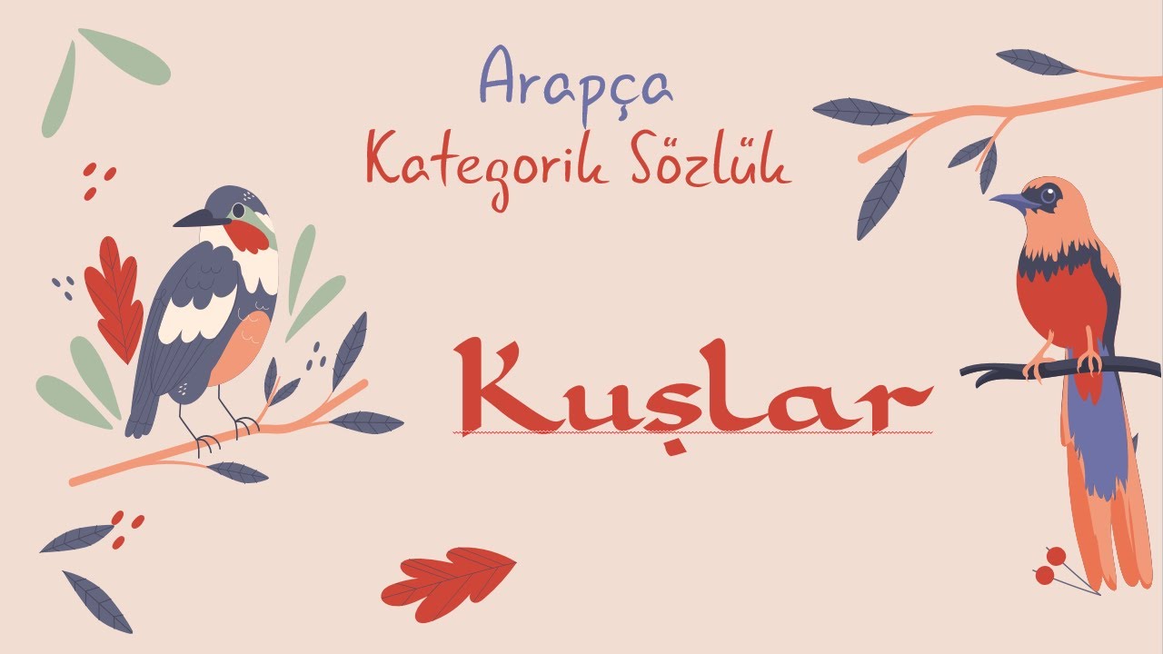 Arapça Hayvan İsimleri: Kuşlar
