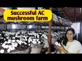 Hi tech ac mushroom farm marketing  compost  profit and loss  india farming management