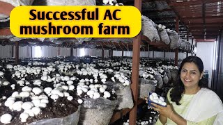 Hi tech ac mushroom farm, marketing , compost , Profit and loss । India farming management