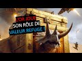 Investir en or pour la retraite et la transmission (07/08/24)