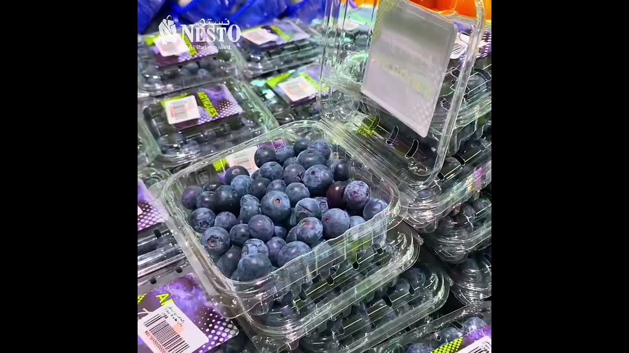  Blueberry BestDeals Nesto WeekEndOffers Directly From Argentina