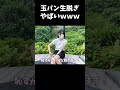 公園で脱いみたら…#shorts