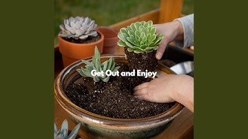 Pulsating Duo - Vibe for Individual Mind