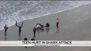Teen Attacked By Shark At Southern California Beach