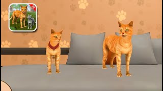Cat Family Simulator 2021 - Gameplay Walkthrough #1 screenshot 1