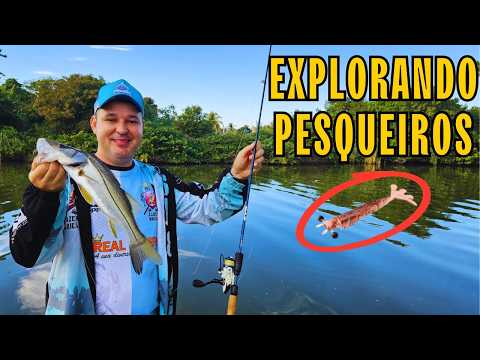 This LURE is a MUST-HAVE for your ULTRALIGHT FISHING - UL FISHING TIPS