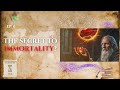 The Lost Secret to Immortality?