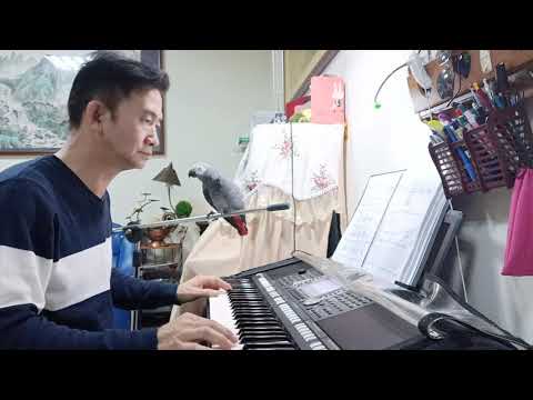 鄧麗君【只要你心裡有我】電子琴 演奏 Cover 無聊老宋 Boring Song