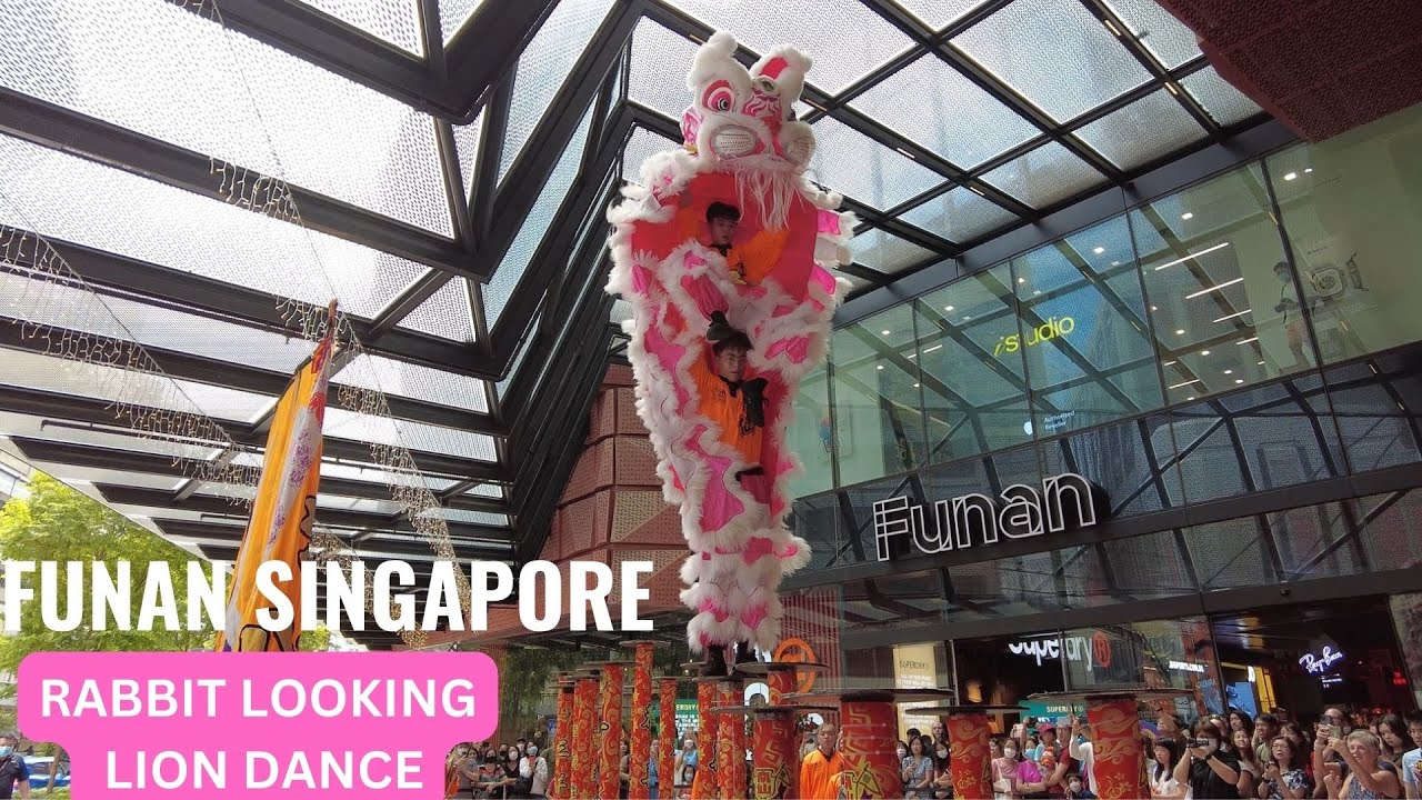 Rabbit-looking Lion Dance wowed the spectators at Funan Singapore [4K]