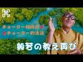 チョークー和尚のチョークー的法話「般若の教え 再び」