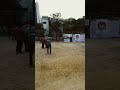 কামাল আতাতুর্ক পার্ক, বনানী।