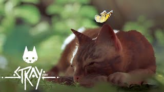 サイバーパンクな世界で仲間とはぐれたネコが爪を研いだりロボを蹴ったりする #01【Stray】 screenshot 3