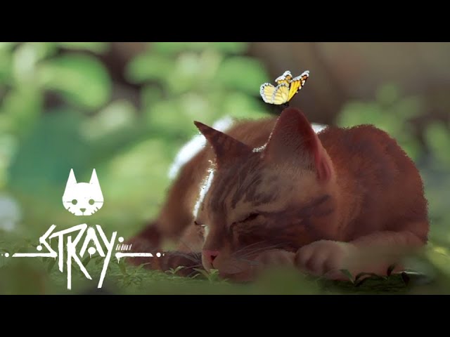 サイバーパンクな世界で仲間とはぐれたネコが爪を研いだりロボを蹴ったりする #01【Stray】