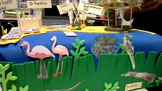 Florida State Float by Biker