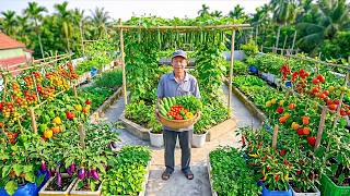 I No Longer Need to Buy Vegetables Because This Garden Produces Year-Round