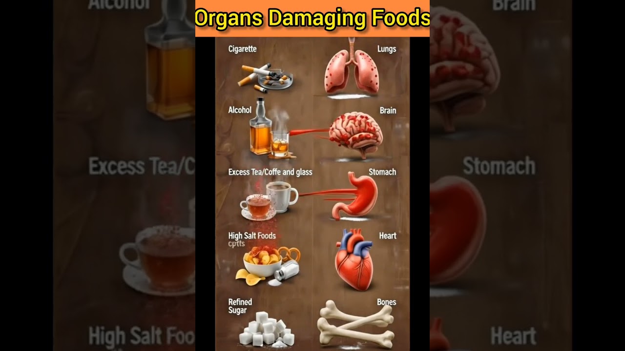 Organs Damaging Foods | What to Avoid for Better Health