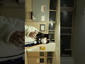 YOASOBI/夜に駆けるを高校放課後に歌ってくれた時の動画#高校生 #青春 #yoasobi