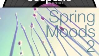 VA - DeepWit Spring Moods Vol 2 - DeepWit Recordings