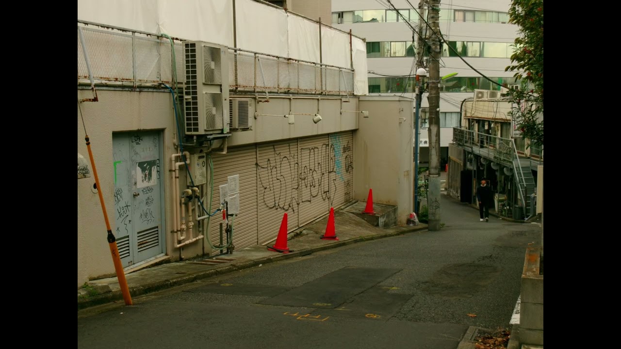 25年11月フォトウォーク