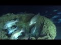 Exploring a U-Boat wreck off North Carolina