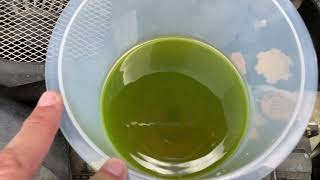2002 Subaru Outback H6 VDC Bubble Test for Head Gasket