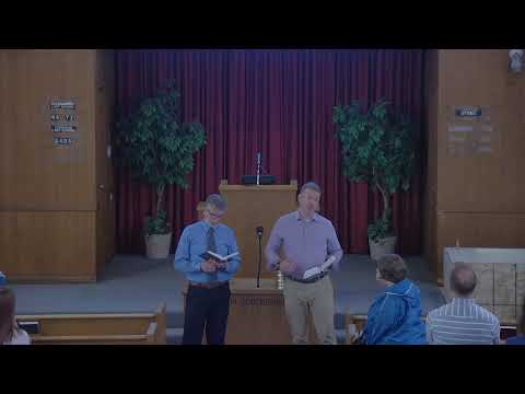 Video preview