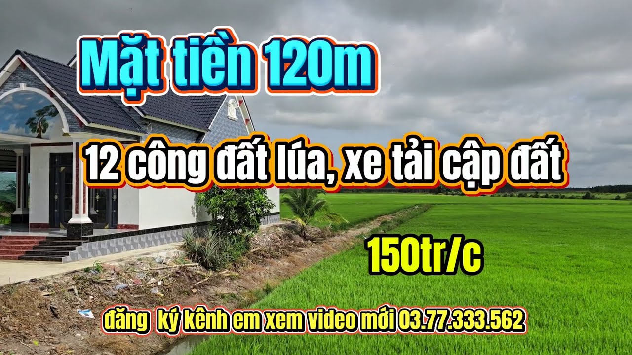 Phát hiện 12 công đất lúa  mặt tiền khủng hoảng  120 m tại thạnh hóa ,long an