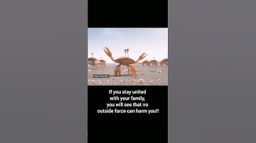 Unity is Strength: Ants, Crabs & Penguins Show Why Family Matters. #unity #strength #power#trending