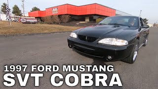 1997 Ford Mustang SVT Cobra For Sale