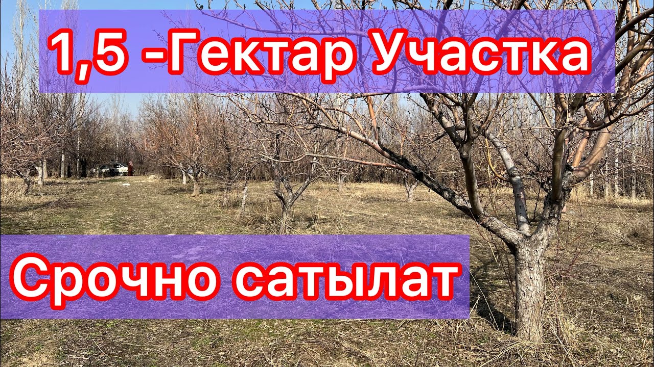 1,5 Гектар Участка сатылат 🔥🔥☎️0779910006, 0550000454 