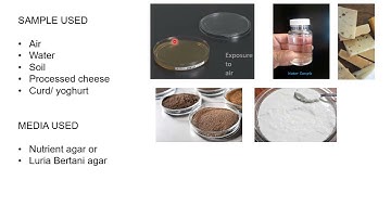Isolation of Mesophiles with viva questions | Microbiology practical | MSc practical series