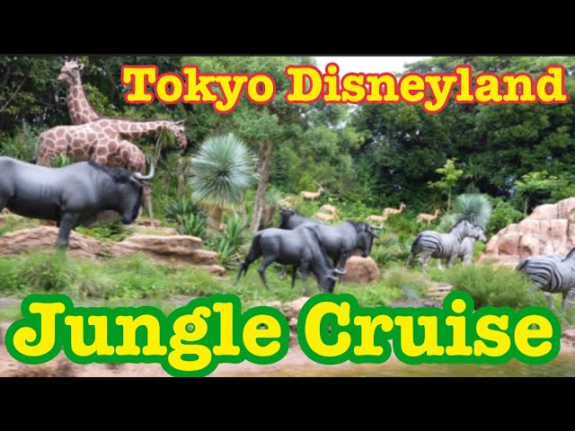 Tdl ジャングル大好きな吉岡船長とジャングルクルーズ 船長の休憩室 Jungle Cruise Wildlife Expeditions Youtube Tdl ジャングル大好きな吉岡船長とジャングルクルーズ 船長の休憩室 Jungle Cruise Wildlife Expeditions Youtube